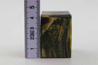 Stabilized mammoth molar piece