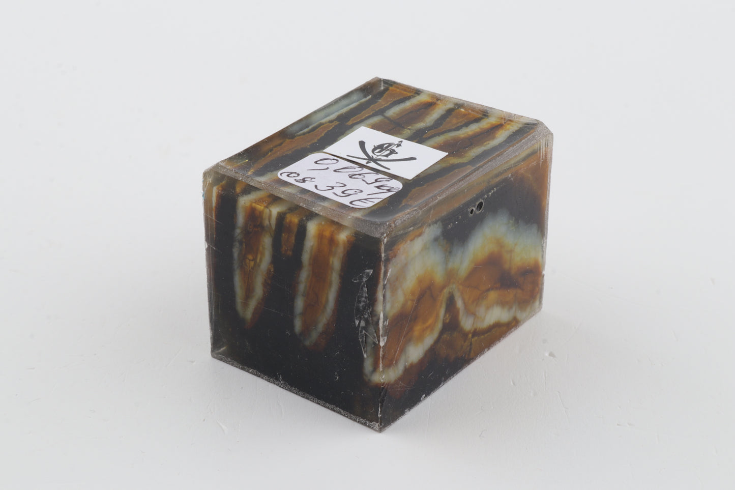 Stabilised mammoth molar piece