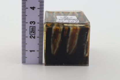 Stabilised mammoth molar piece