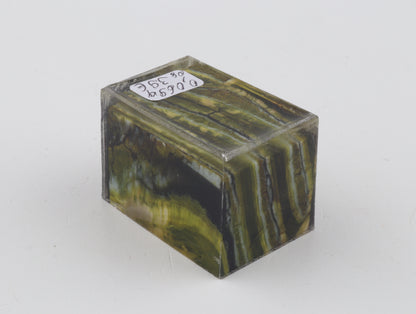 Stabilized mammoth molar piece