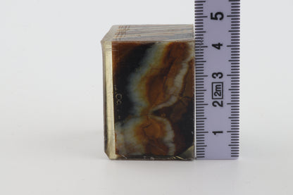 Stabilised mammoth molar piece