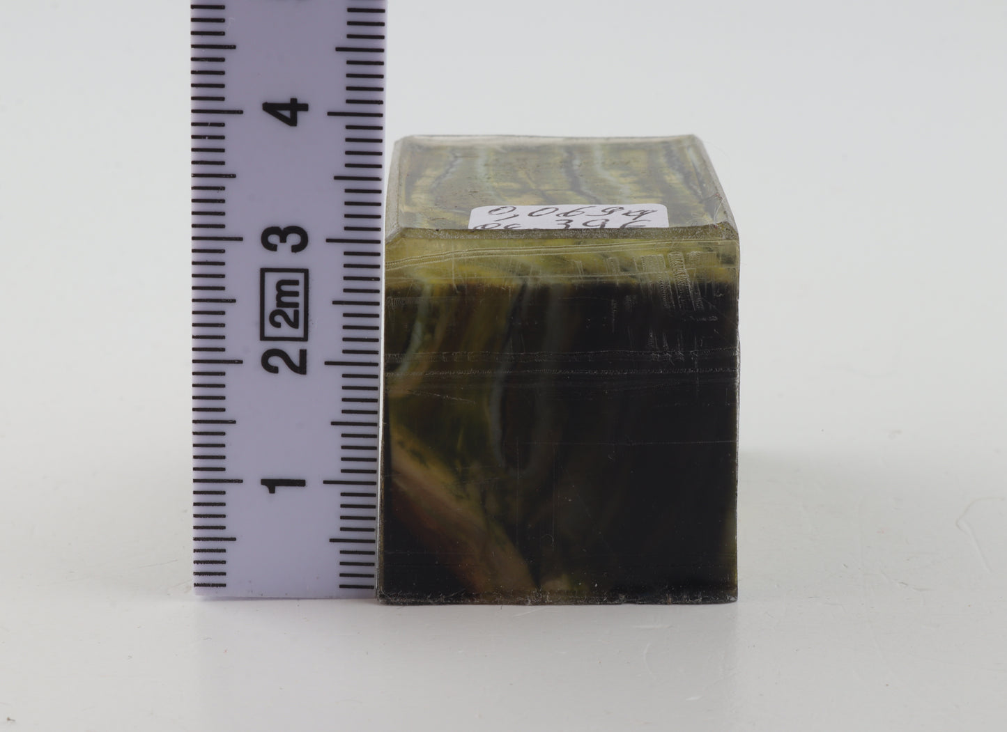 Stabilized mammoth molar piece
