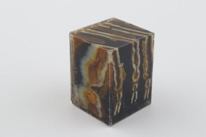 Stabilised mammoth molar piece