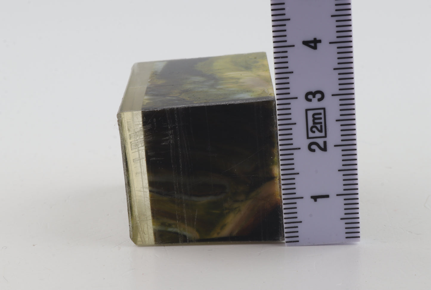 Stabilized mammoth molar piece