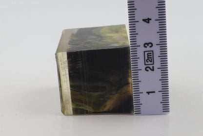 Stabilized mammoth molar piece