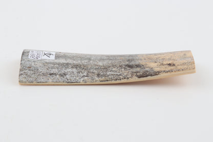 Grey mammoth bark