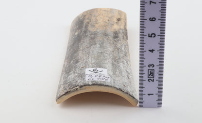Grey mammoth bark