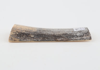 Grey mammoth bark