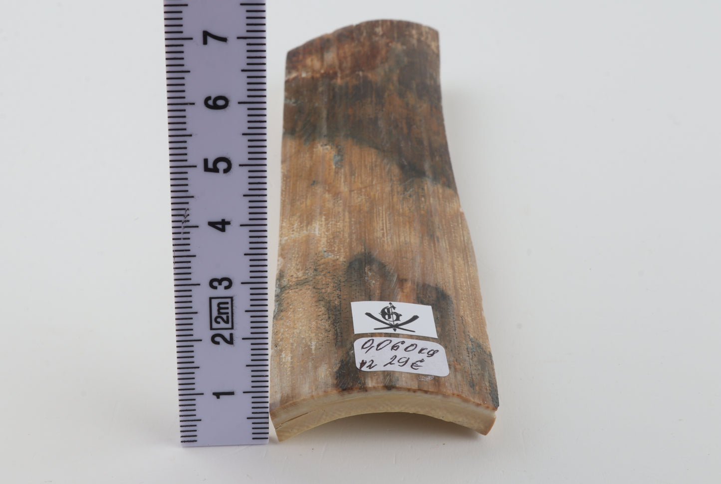 Beige-green mammoth bark