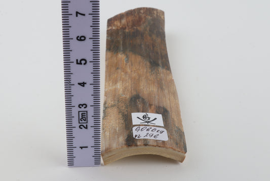 Beige-green mammoth bark