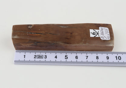 Brown mammoth ivory piece