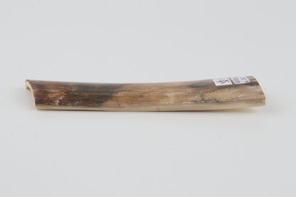 Beige-green mammoth bark