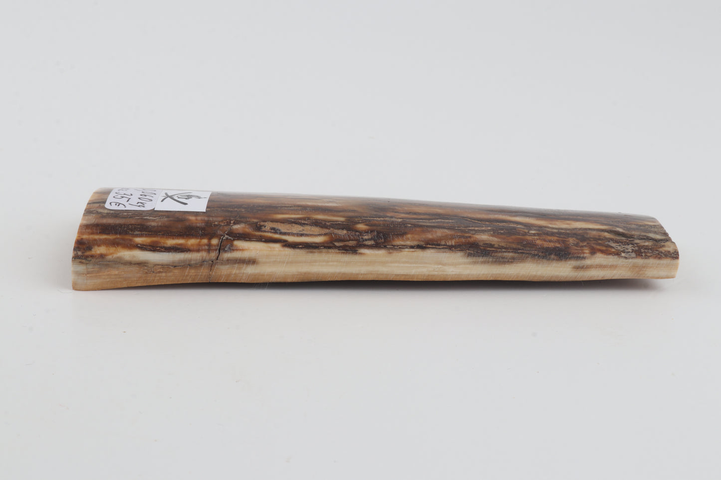 Beige-brown mammoth bark
