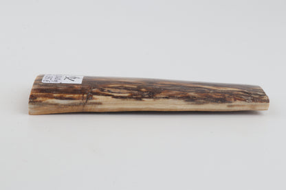 Beige-brown mammoth bark