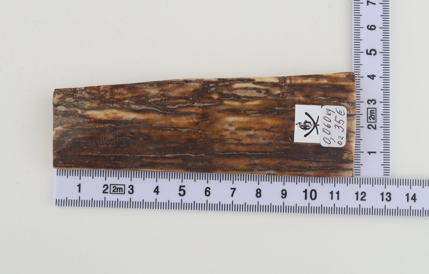 Beige-brown mammoth bark