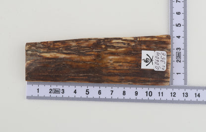 Beige-brown mammoth bark