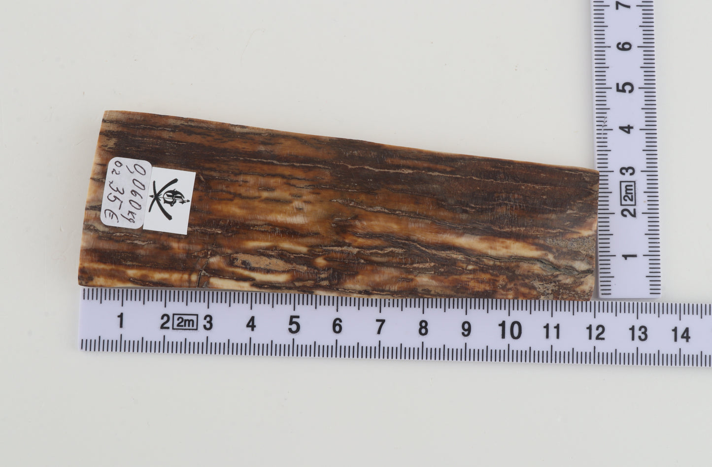 Beige-brown mammoth bark
