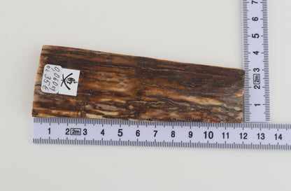 Beige-brown mammoth bark