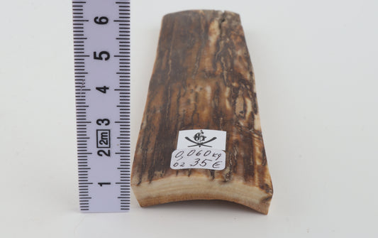 Beige-brown mammoth bark