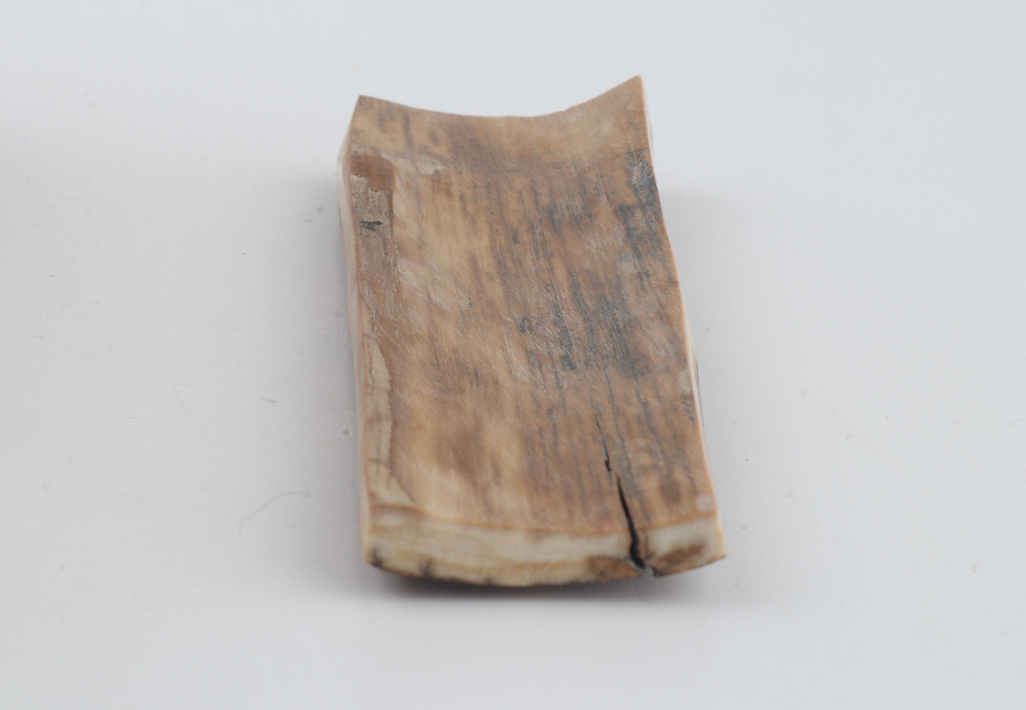 Beige-brown mammoth bark