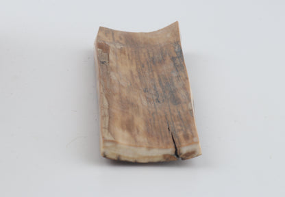 Beige-brown mammoth bark