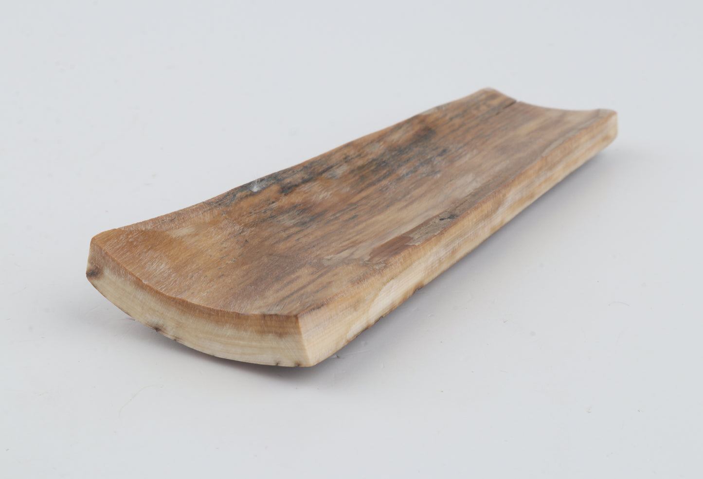 Beige-brown mammoth bark