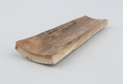 Beige-brown mammoth bark