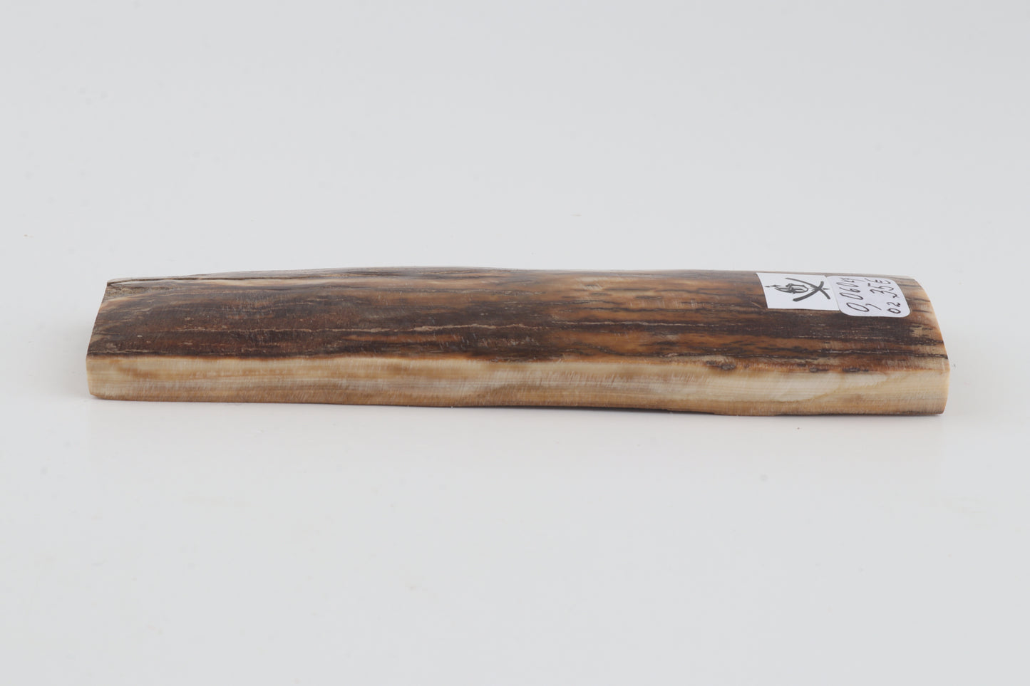Beige-brown mammoth bark