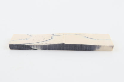 Stabilized mammoth ivory piece