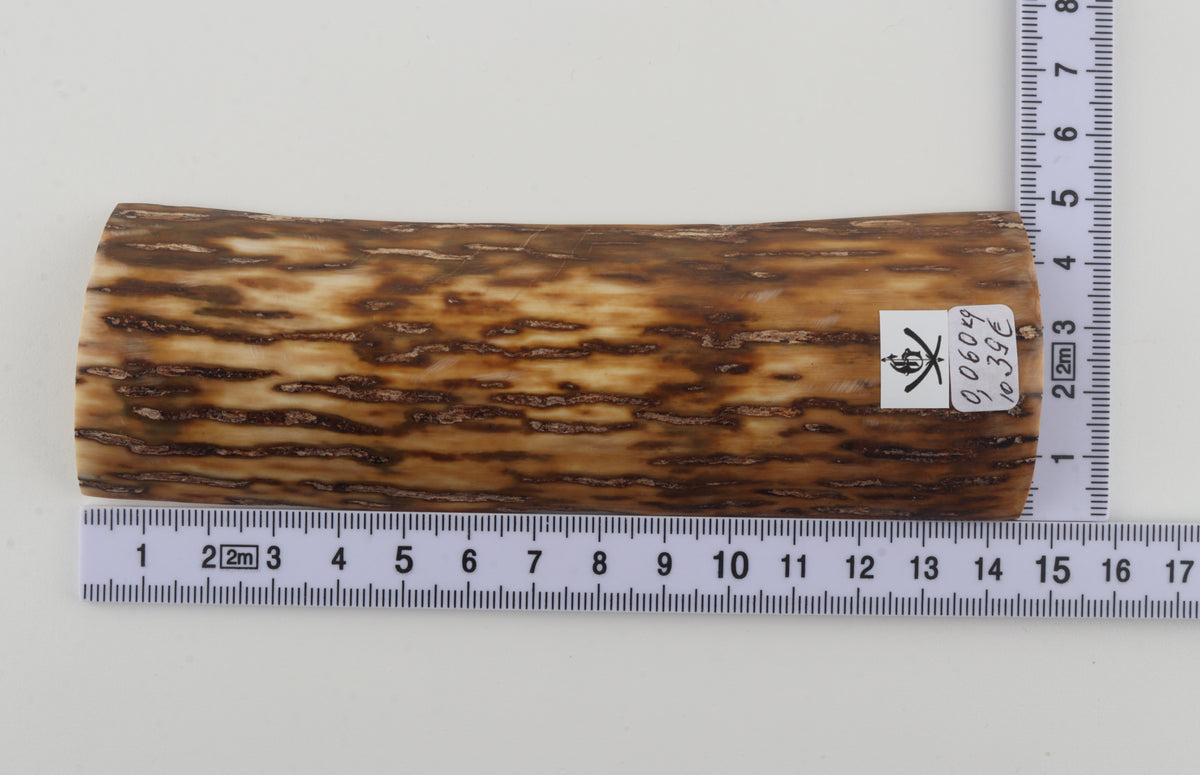 Brown-cream mammoth bark
