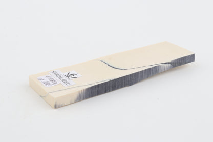 Stabilized mammoth ivory piece