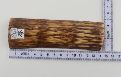 Brown-cream mammoth bark
