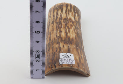 Brown-cream mammoth bark