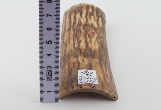 Brown-cream mammoth bark