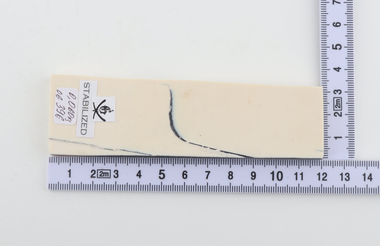 Stabilized mammoth ivory piece