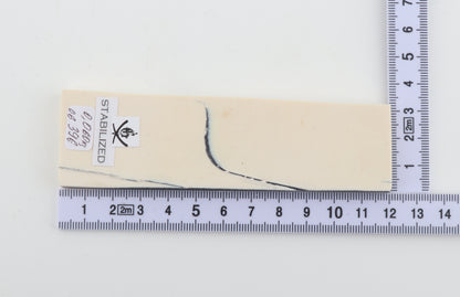 Stabilized mammoth ivory piece