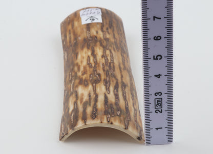Brown-cream mammoth bark