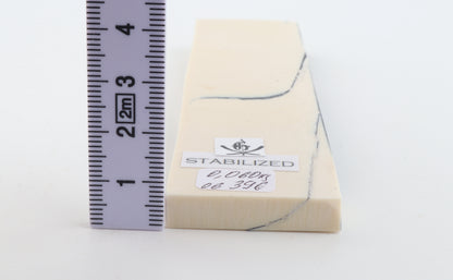 Stabilized mammoth ivory piece