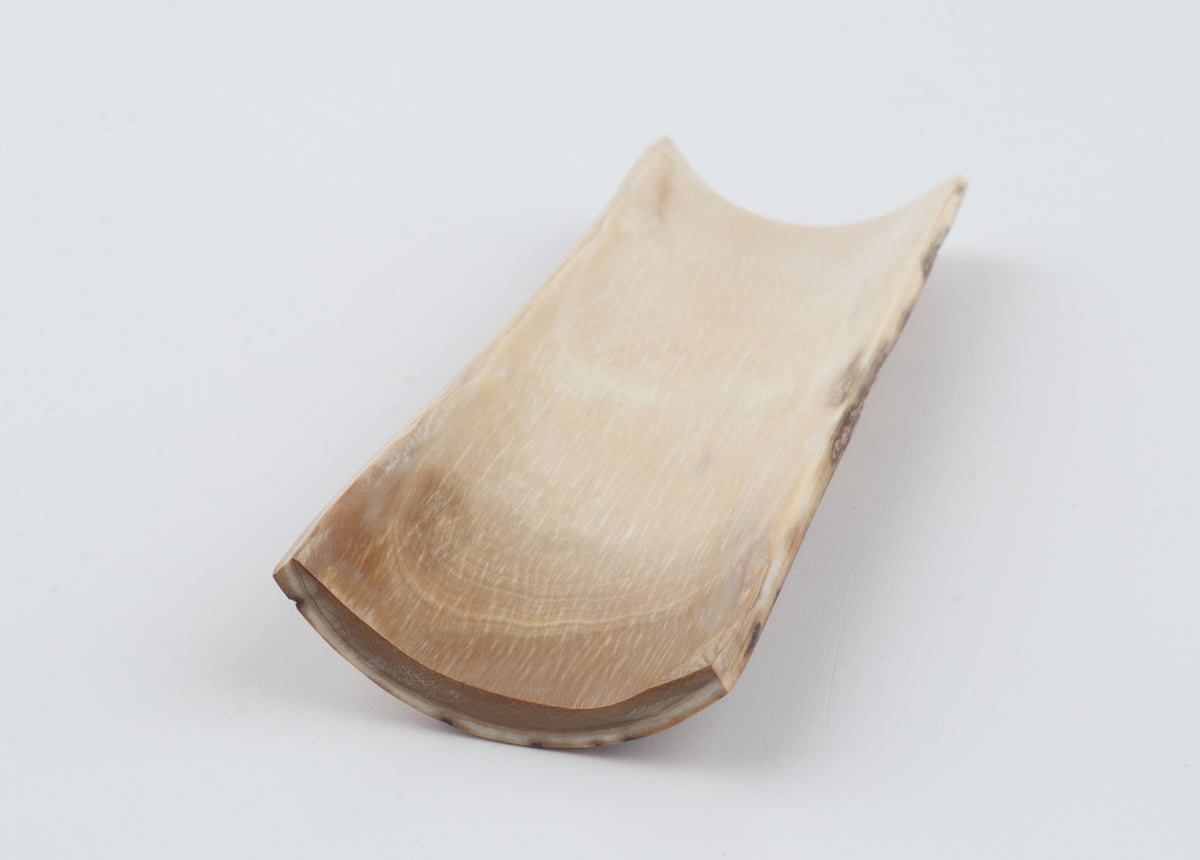 Brown-cream mammoth bark