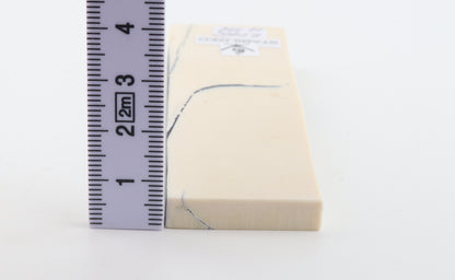 Stabilized mammoth ivory piece