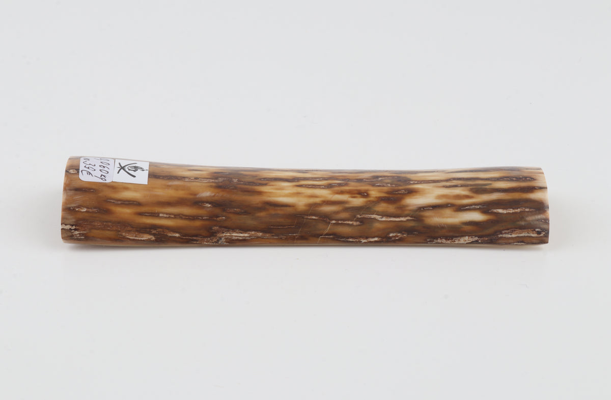 Brown-cream mammoth bark