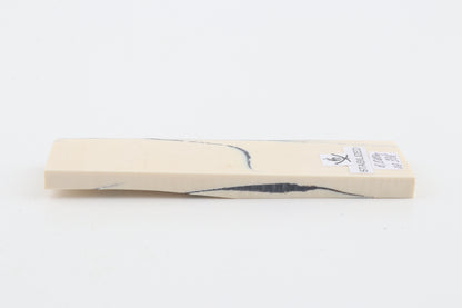 Stabilized mammoth ivory piece