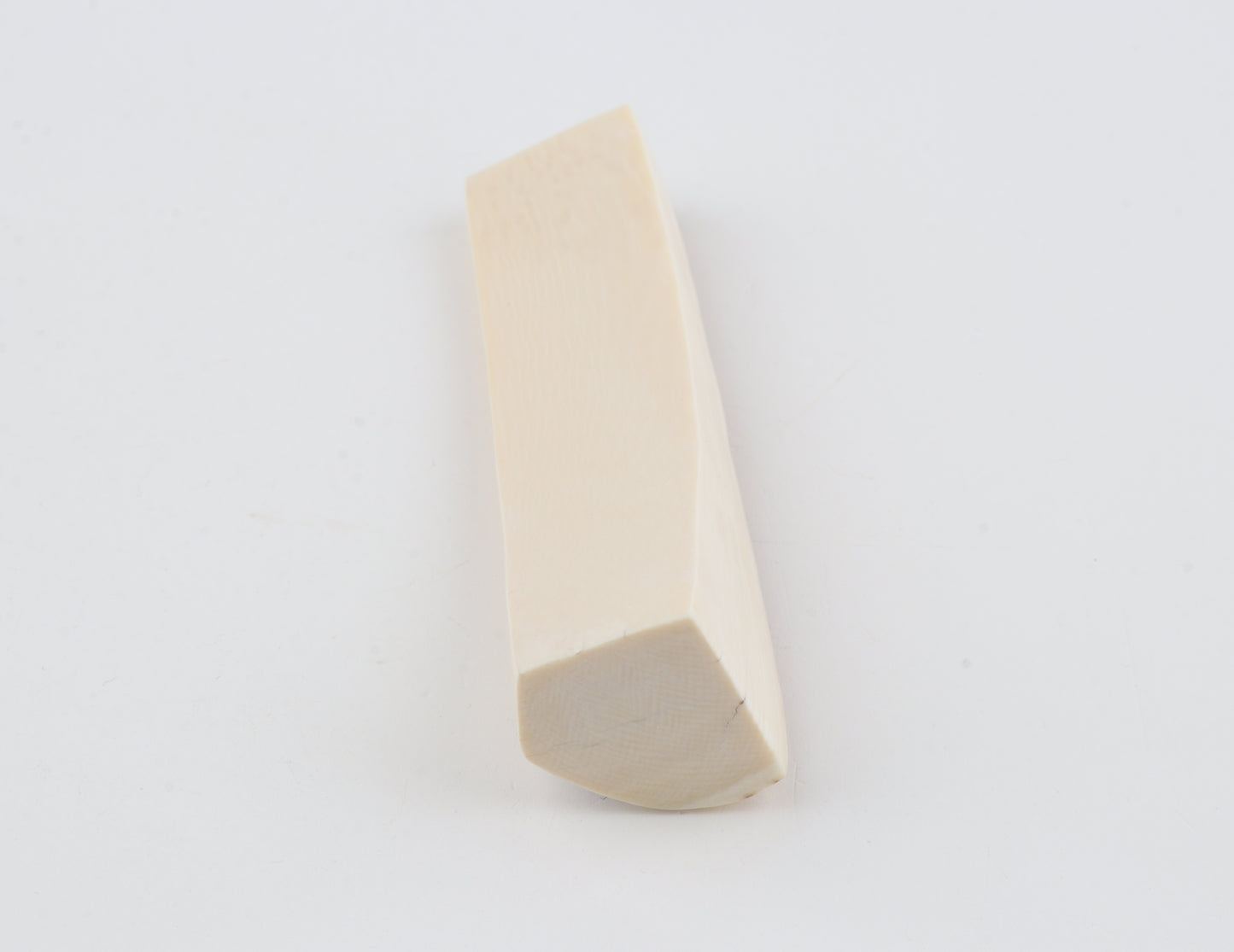 White mammoth ivory segment
