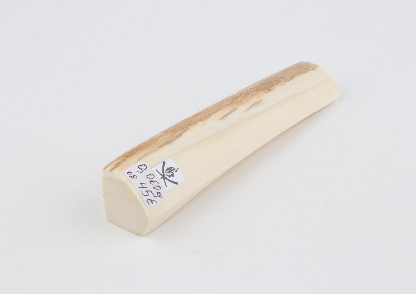 White mammoth ivory segment