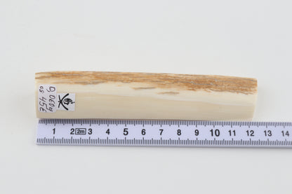 White mammoth ivory segment