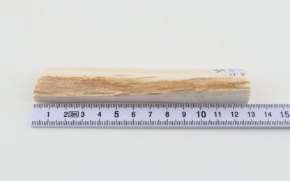 White mammoth ivory segment