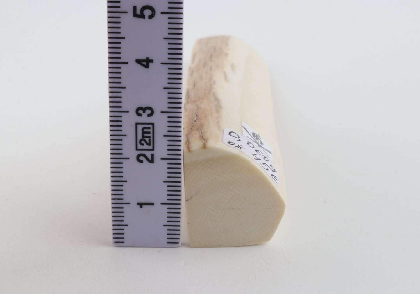 White mammoth ivory segment