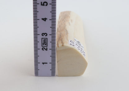 White mammoth ivory segment