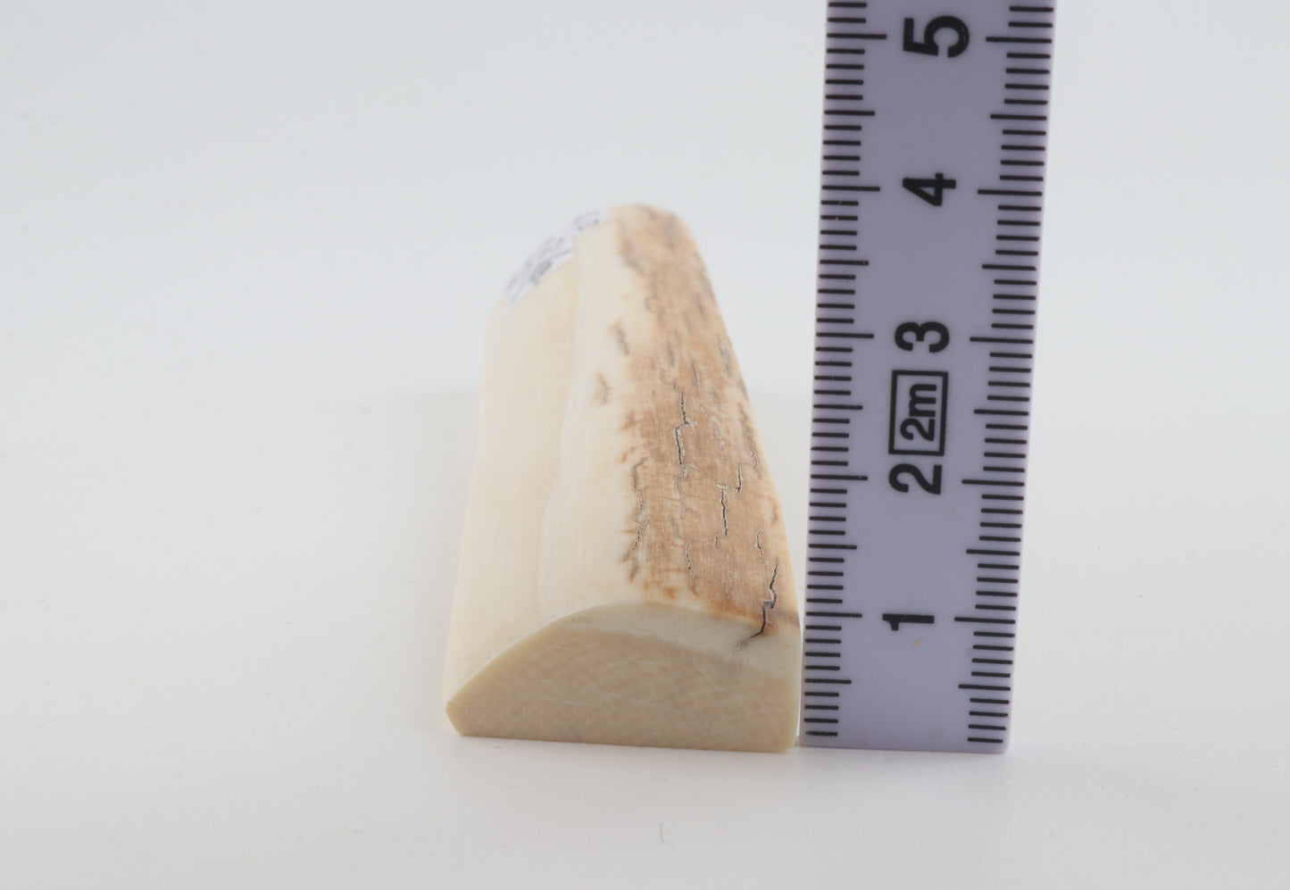 White mammoth ivory segment