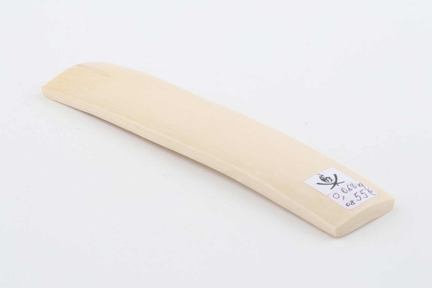 White mammoth ivory segment